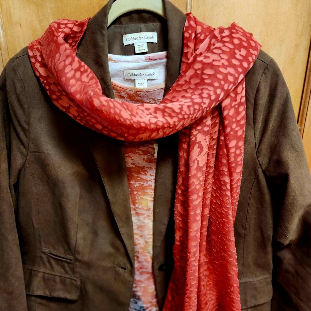 Coldwater Creek Chocolate Brown Faux Suede Blazer